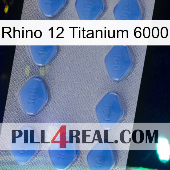 Rhino 12 Titanium 6000 21.jpg